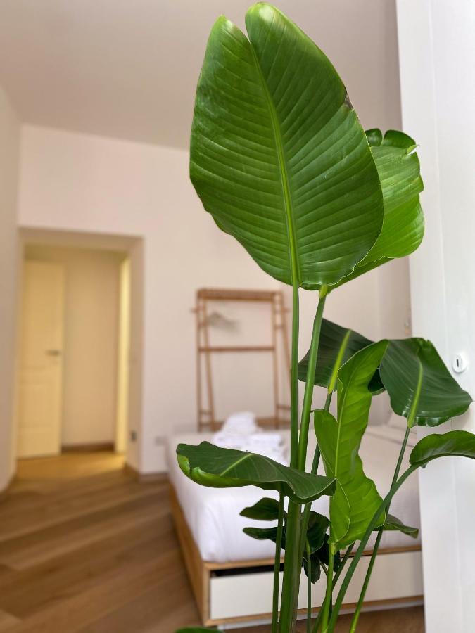 Boho Suites - Rome Colosseum מראה חיצוני תמונה